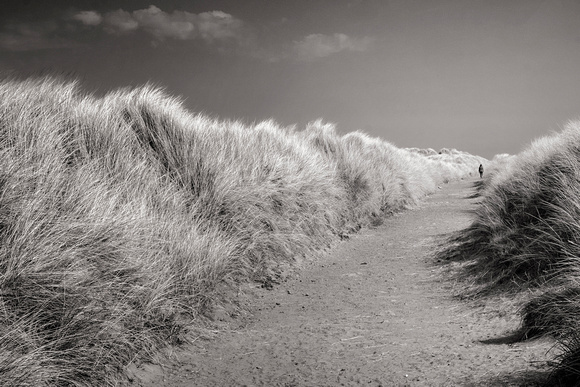 Parting of the Marram.